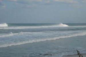 Live Boynton Beach Surf Cam: See Surf Now! | Learn to Surf & Skate: A Beginner's Step-by-Step Guide