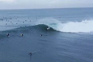Find: Surf Report Swamis Online - Best Surf Spots | Learn to Surf & Skate: A Beginner's Step-by-Step Guide