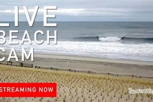 Live Surf Cam New Jersey: See the Waves Now! | Learn to Surf & Skate: A Beginner's Step-by-Step Guide