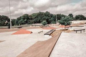 Discover: Brushy Creek Skate Park Fun + Tips | Learn to Surf & Skate: A Beginner's Step-by-Step Guide
