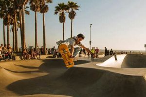 Your High On Life Skate Park: Tricks & Fun! | Learn to Surf & Skate: A Beginner's Step-by-Step Guide