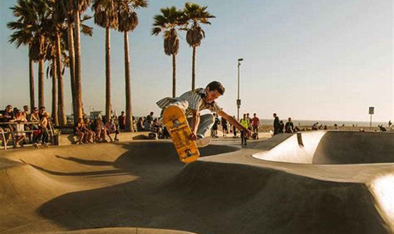 Your High On Life Skate Park: Tricks & Fun! | Learn to Surf & Skate: A Beginner's Step-by-Step Guide