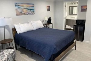 Fernandina Beach Surf & Sun: The Surf Beach Motel Awaits! | Learn to Surf & Skate: A Beginner's Step-by-Step Guide