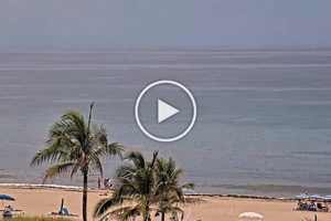 Delray Beach Surf Cam: Live Waves & Beach Views | Learn to Surf & Skate: A Beginner's Step-by-Step Guide