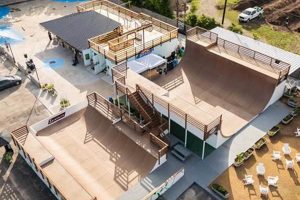 Your Local Five Point Skate Shop: Gear, Experts, & More! | Learn to Surf & Skate: A Beginner's Step-by-Step Guide