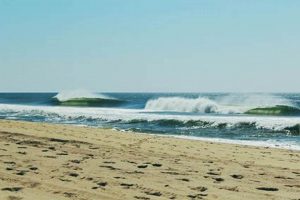 Robert Moses Surf Report: Check the Conditions Now! | Learn to Surf & Skate: A Beginner's Step-by-Step Guide