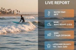 Your Vero Beach Surf Report Now: Surf's Up! | Learn to Surf & Skate: A Beginner's Step-by-Step Guide
