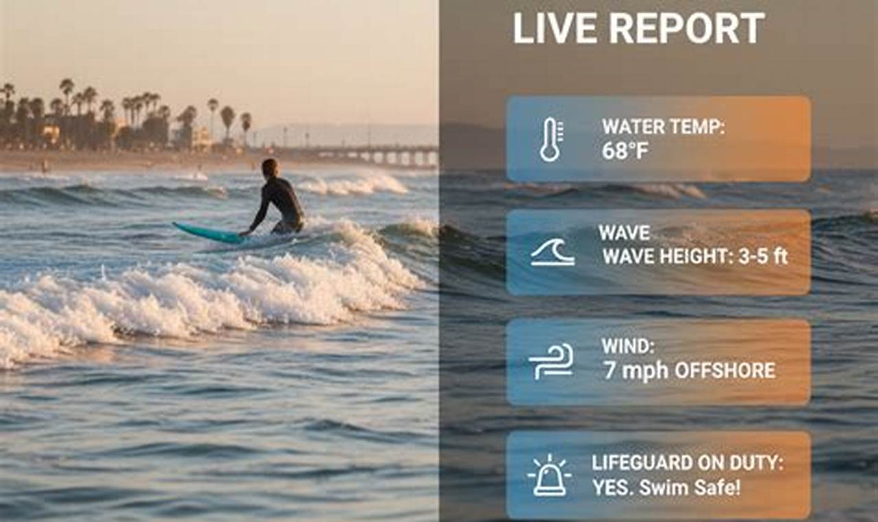 Your Vero Beach Surf Report Now: Surf's Up! | Learn to Surf & Skate: A Beginner's Step-by-Step Guide