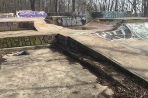 Exploring: Abandoned Skate Parks &amp; Their Fate | Learn to Surf & Skate: A Beginner's Step-by-Step Guide