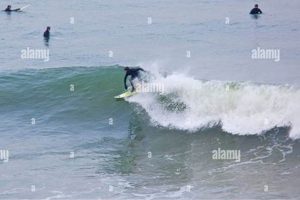 Montauk Surf Report: [Conditions + Updates] | Learn to Surf & Skate: A Beginner's Step-by-Step Guide