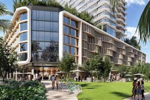 Ward Village Surf Cam: See the Waves Live! | Learn to Surf & Skate: A Beginner's Step-by-Step Guide