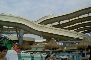 Explore Thundering Surf: Beach Haven, NJ Guide & More! | Learn to Surf & Skate: A Beginner's Step-by-Step Guide