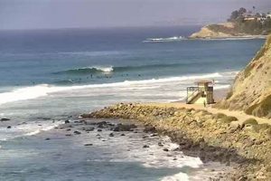 Topanga Surf Cam: Beach Views & Wave Check Today! | Learn to Surf & Skate: A Beginner's Step-by-Step Guide