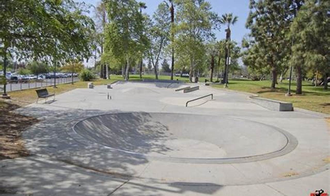 Visit Claremont Skate Park: Your Ultimate Skating Destination | Learn to Surf & Skate: A Beginner's Step-by-Step Guide