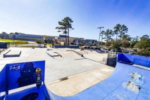 Matt Hughes Skate Park: Ride On + Local Gem | Learn to Surf & Skate: A Beginner's Step-by-Step Guide
