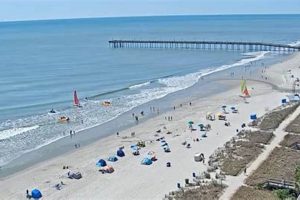 Myrtle Beach SC Surf Report: Waves, Weather & More! | Learn to Surf & Skate: A Beginner's Step-by-Step Guide