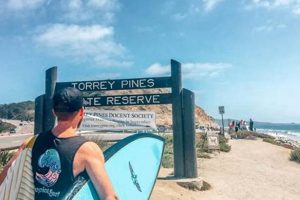 Your Guide: Torrey Pines Surf Report Today &amp; Forecast | Learn to Surf & Skate: A Beginner's Step-by-Step Guide