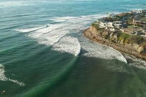 Tourmaline Surf Cam: Watch Live + Current Beach Report | Learn to Surf & Skate: A Beginner's Step-by-Step Guide