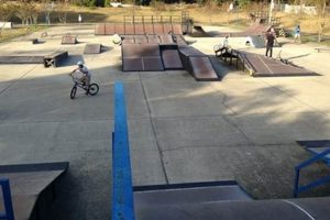 Explore Niceville Skate Park: Fun & Thrills Await! | Learn to Surf & Skate: A Beginner's Step-by-Step Guide