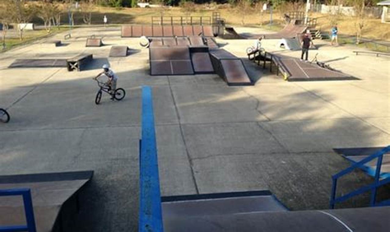Explore Niceville Skate Park: Fun & Thrills Await! | Learn to Surf & Skate: A Beginner's Step-by-Step Guide