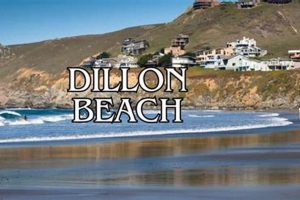 Dillon Beach Surf Report: Waves, Tides & More | Learn to Surf & Skate: A Beginner's Step-by-Step Guide