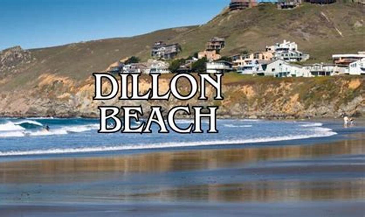 Dillon Beach Surf Report: Waves, Tides & More | Learn to Surf & Skate: A Beginner's Step-by-Step Guide