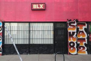 Your Guide: blx skate shop - Gear & More! | Learn to Surf & Skate: A Beginner's Step-by-Step Guide