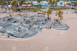 Venice Skate Park, CA: Skateboarding Paradise! | Learn to Surf & Skate: A Beginner's Step-by-Step Guide