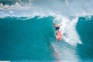 Your LI Long Island Surf Report Today: Conditions & Forecast | Learn to Surf & Skate: A Beginner's Step-by-Step Guide