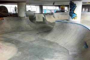 Your Guide to Seattle Skate Parks: Locations & More! | Learn to Surf & Skate: A Beginner's Step-by-Step Guide