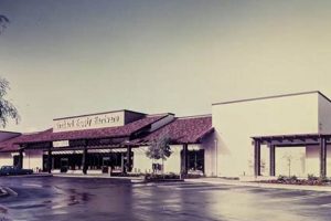 Your Guide to Skate Shops in San Jose CA - [Year] | Learn to Surf & Skate: A Beginner's Step-by-Step Guide