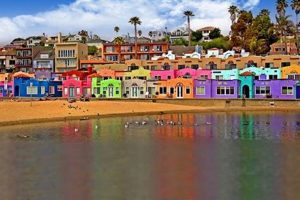 Discover Surf City Capitola: Beaches & More | Learn to Surf & Skate: A Beginner's Step-by-Step Guide