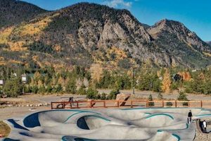 Best Colorado Skate Parks: Your Local Guide & More! | Learn to Surf & Skate: A Beginner's Step-by-Step Guide