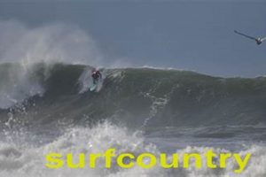 Your Stuart, FL Surf Report Today + Forecast | Learn to Surf & Skate: A Beginner's Step-by-Step Guide