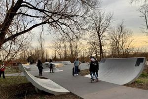 Canarsie Skate Park Guide: Brooklyn's Best Spot! | Learn to Surf & Skate: A Beginner's Step-by-Step Guide
