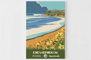 Your Devereux Surf Report: [Date] Conditions & Forecast | Learn to Surf & Skate: A Beginner's Step-by-Step Guide