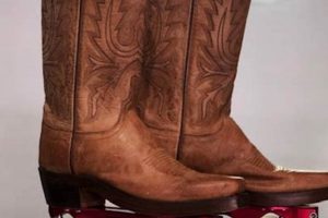 Best Roller Derby Quad Skates: Gear Up & Roll Out! | Learn to Surf & Skate: A Beginner's Step-by-Step Guide