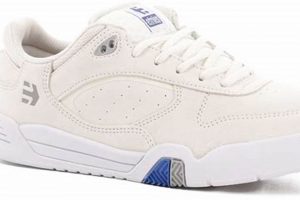 Best Skate Shoes White: Styles & Buying Guide! | Learn to Surf & Skate: A Beginner's Step-by-Step Guide