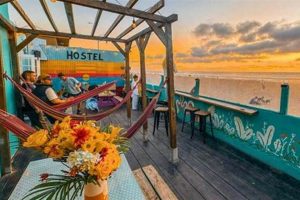 San Diego Surf Stay: ITH Beach Bungalow Hostel Deals! | Learn to Surf & Skate: A Beginner's Step-by-Step Guide