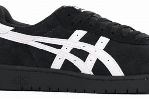 Top ASICS Skate Shoes: Find Your Perfect Ride [Year] | Learn to Surf & Skate: A Beginner's Step-by-Step Guide