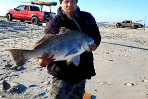 Delaware Surf Fishing Report: Tips & Hotspots Guide | Learn to Surf & Skate: A Beginner's Step-by-Step Guide