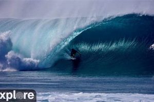 Live Pipeline Hawaii Surf Cam: Watch Waves Now! | Learn to Surf & Skate: A Beginner's Step-by-Step Guide