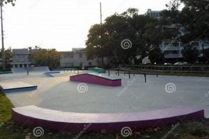 Visit North Beach Public Skate Park: Fun & Tricks! | Learn to Surf & Skate: A Beginner's Step-by-Step Guide