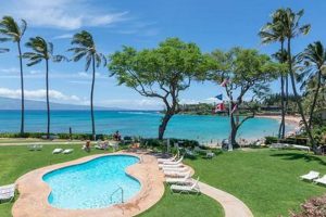 Napili Beach Surf Resort: Your Perfect Maui Getaway | Learn to Surf & Skate: A Beginner's Step-by-Step Guide