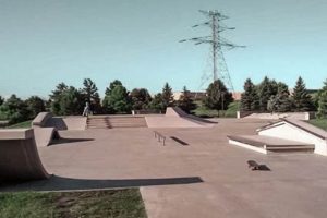 Visit Maple Grove Skate Park: Guide & Tips + More! | Learn to Surf & Skate: A Beginner's Step-by-Step Guide