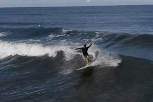 Your Carlsbad Surf Report: Waves & Conditions Now! | Learn to Surf & Skate: A Beginner's Step-by-Step Guide