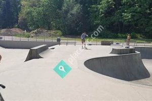 Your Guide: Lower Woodland Skate Park Fun + More! | Learn to Surf & Skate: A Beginner's Step-by-Step Guide