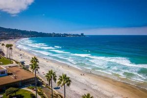 Your Guide: Surf Report San Diego Pacific Beach Today | Learn to Surf & Skate: A Beginner's Step-by-Step Guide