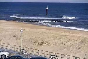 Your LBI Surf Report: Waves &amp; Weather Today! | Learn to Surf & Skate: A Beginner's Step-by-Step Guide
