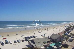 New Smyrna Surf Cam: Watch NSB Waves Live! | Learn to Surf & Skate: A Beginner's Step-by-Step Guide